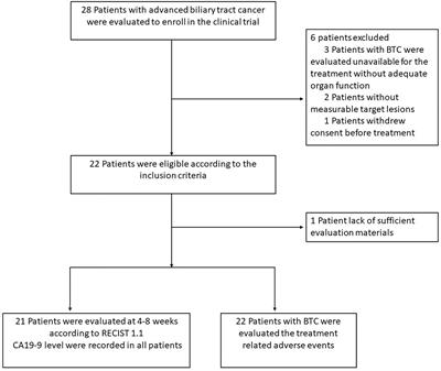 The Efficacy and Safety of Apatinib Plus Camrelizumab in Patients With Previously Treated Advanced Biliary Tract Cancer: A Prospective Clinical Study